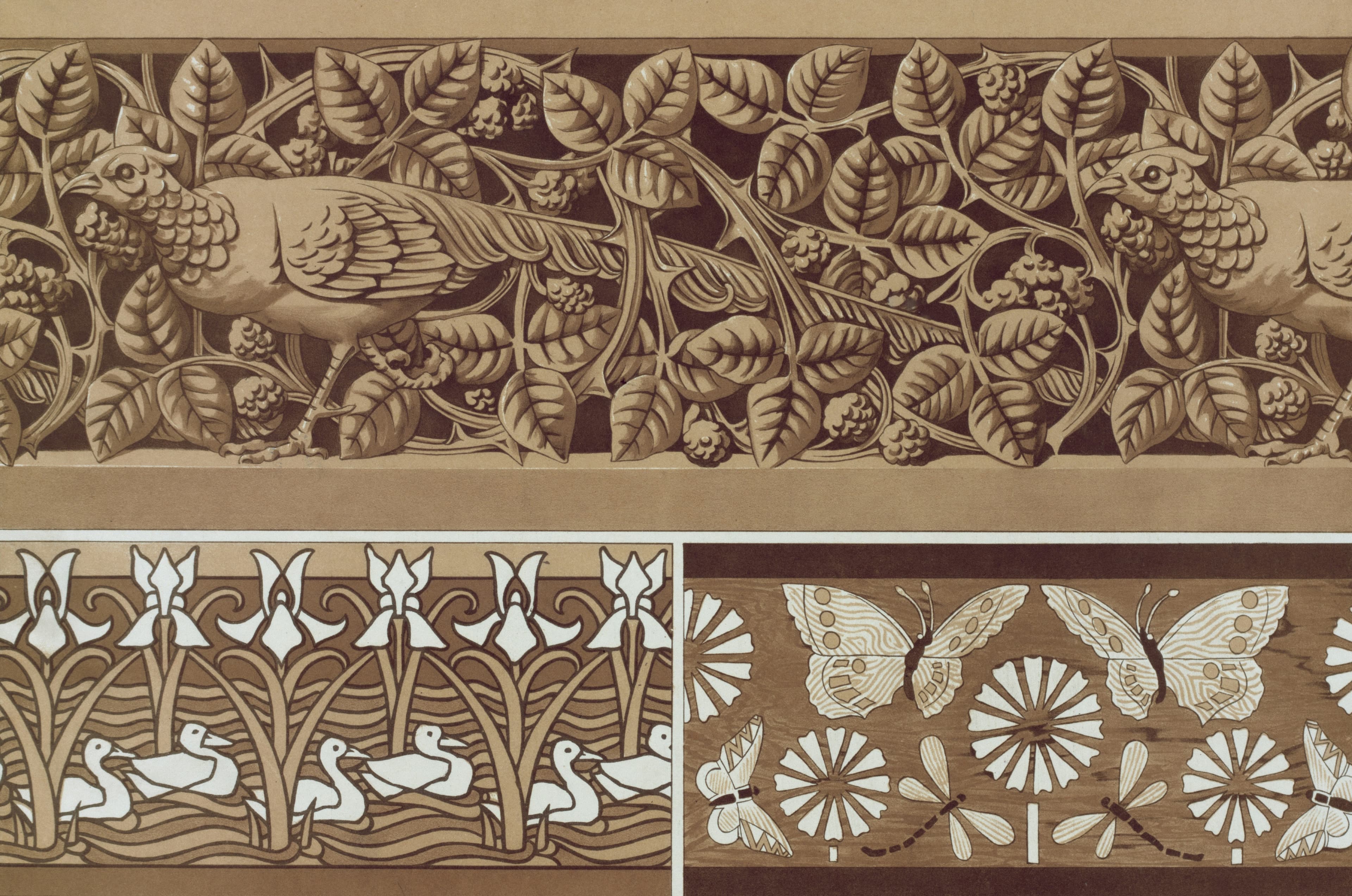 Engraving & Ornamentation